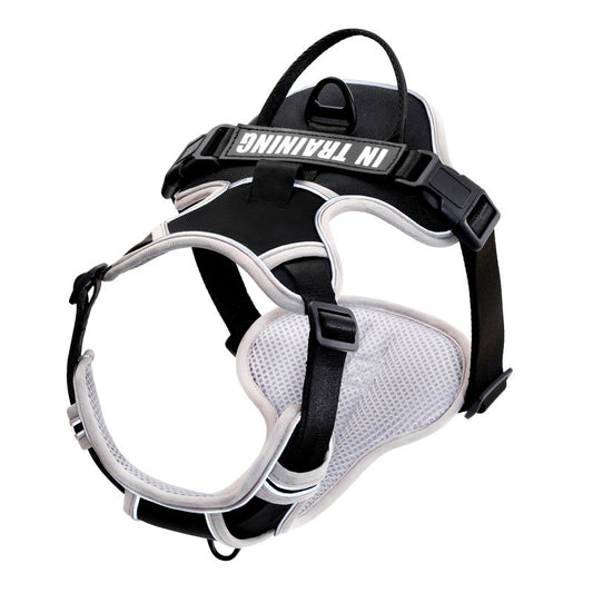 Reflective No-Pull Dog Harness with Leash – For Small, Medium & Large Dogs