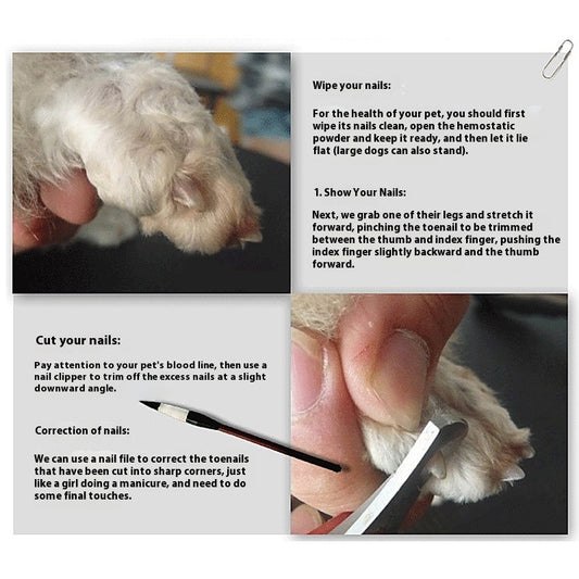 Pet Grooming Shears | Dog & Cat Hair Cutting Tool