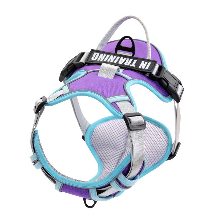 Reflective No-Pull Dog Harness with Leash – For Small, Medium & Large Dogs