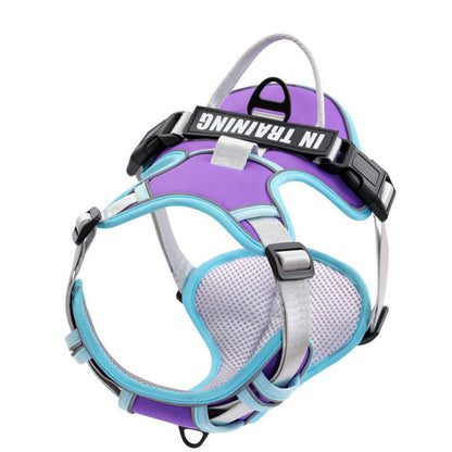 Reflective No-Pull Dog Harness with Leash – For Small, Medium & Large Dogs