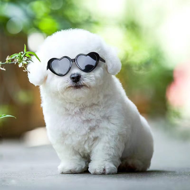 Mini Pet Sunglasses | Cute Doll-Style Shades for Cats & Dogs