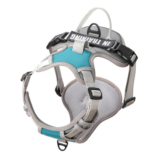 Reflective No-Pull Dog Harness with Leash – For Small, Medium & Large Dogs