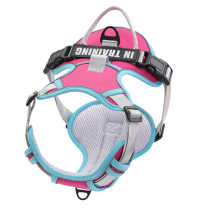 Reflective No-Pull Dog Harness with Leash – For Small, Medium & Large Dogs