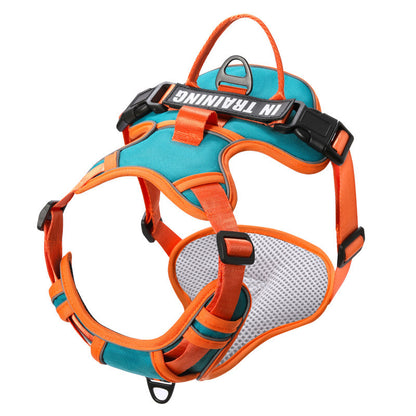 Reflective No-Pull Dog Harness with Leash – For Small, Medium & Large Dogs
