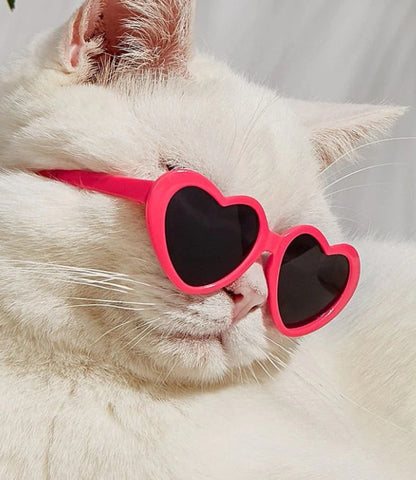 Mini Pet Sunglasses | Cute Doll-Style Shades for Cats & Dogs