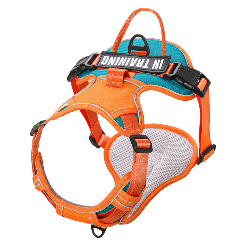 Reflective No-Pull Dog Harness with Leash – For Small, Medium & Large Dogs