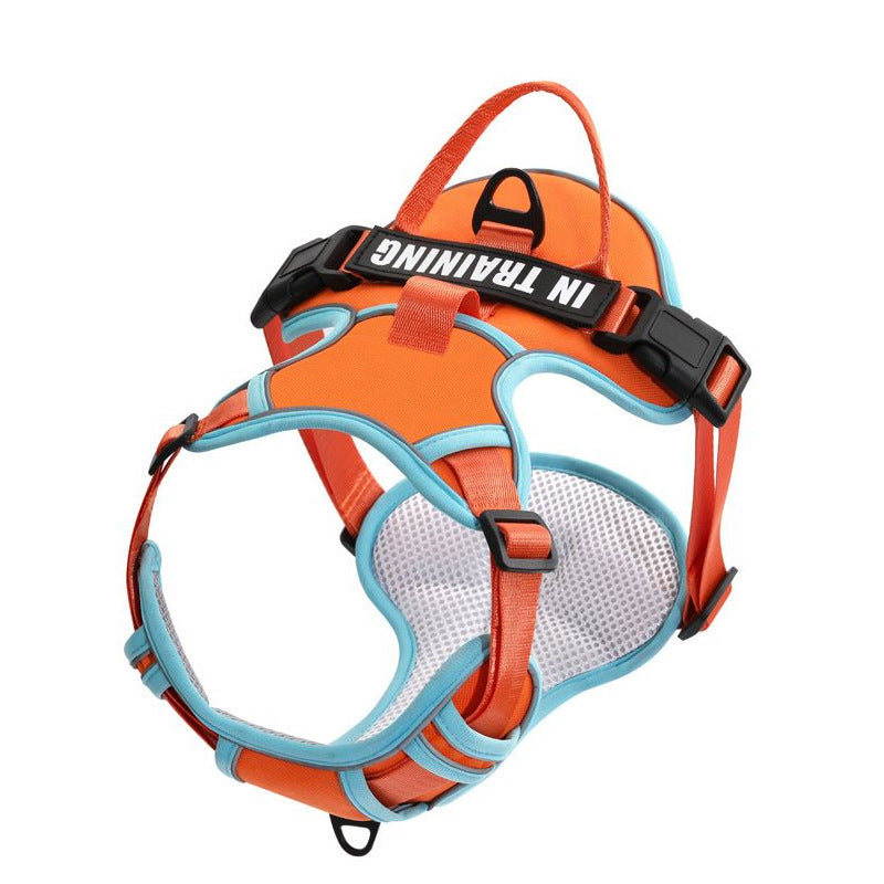 Reflective No-Pull Dog Harness with Leash – For Small, Medium & Large Dogs