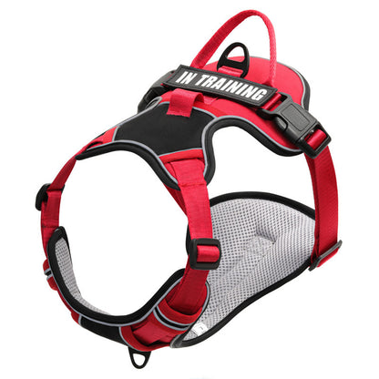 Reflective No-Pull Dog Harness with Leash – For Small, Medium & Large Dogs