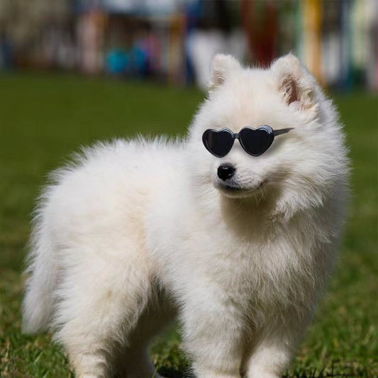 Mini Pet Sunglasses | Cute Doll-Style Shades for Cats & Dogs