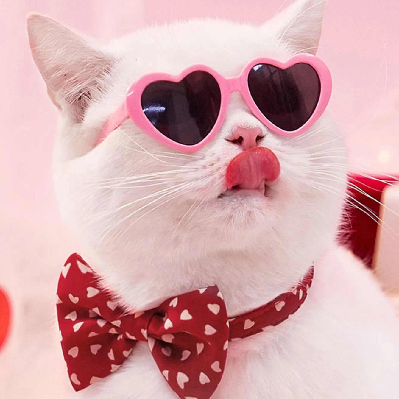 Mini Pet Sunglasses | Cute Doll-Style Shades for Cats & Dogs