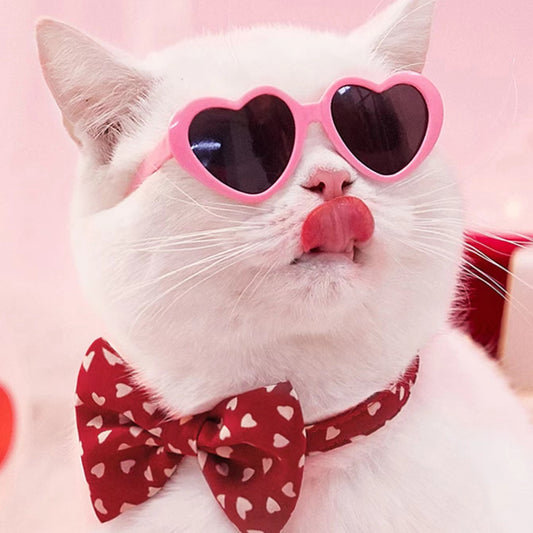 Mini Pet Sunglasses | Cute Doll-Style Shades for Cats & Dogs